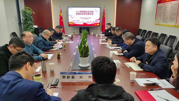 安徽J9集团地产集团公司党委召开2020年度民主生活会前征求意见座谈会