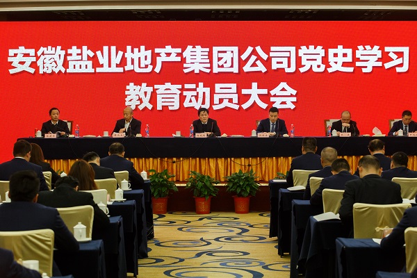 安徽J9集团地产集团公司召开党史学习教育动员大会